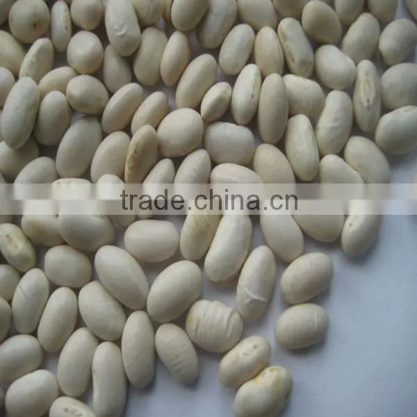 White kidney bean for sale