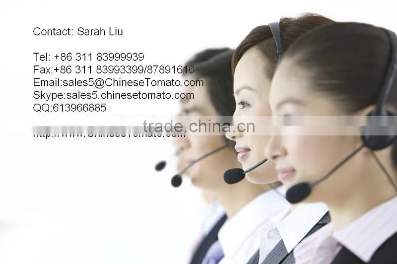 hot sell bottle tomato ketchup VEGO brand