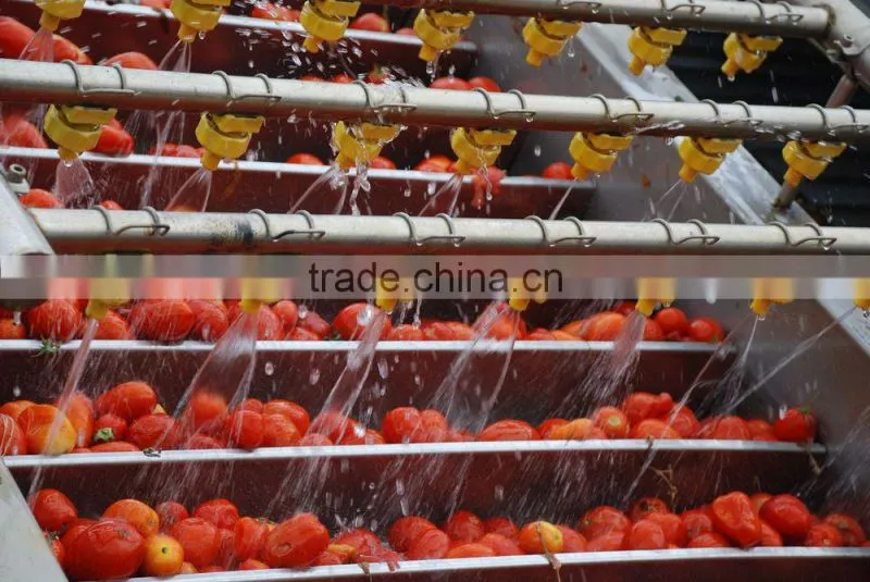 bulk tomato paste in drum chinese crop
