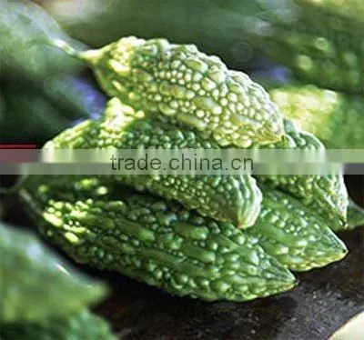 10% Charantin Bitter Melon Extract Powder