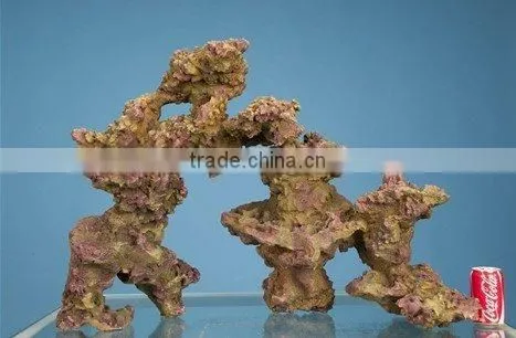 Latest Aquarium Coral Stone