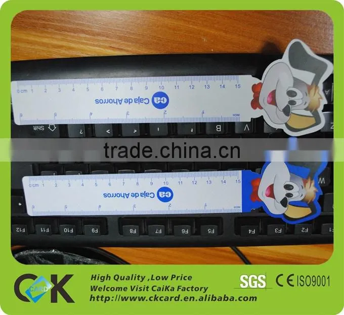 kinds of pvc ruler soft plastic ruler