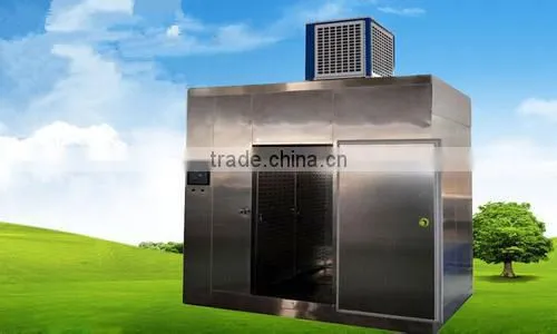 Defrosting Machine