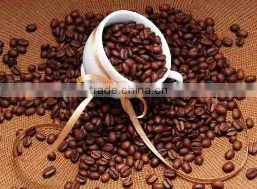 induction heating snack machine