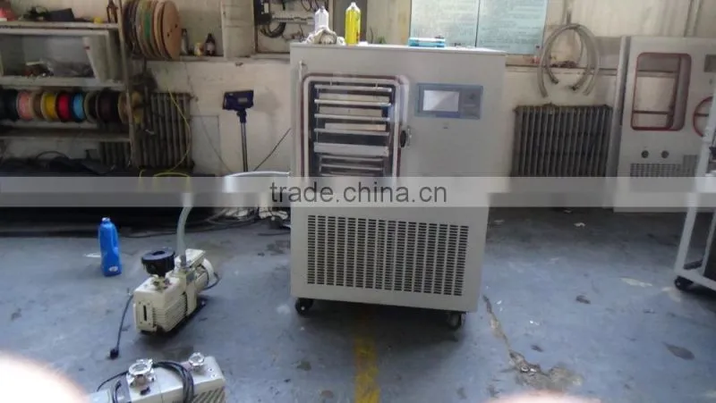 TPV-10G Top-press Vacuum Freeze Dryer with PID Controller and Touching Screen