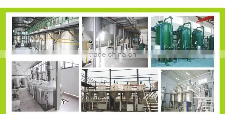 Automatic rapeseed oil processing plant crude degummed rapeseed oil machine