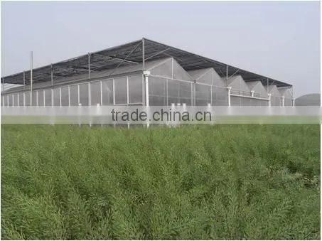 Good performance Low Cost Steel Frame Agricultural Greenhouse