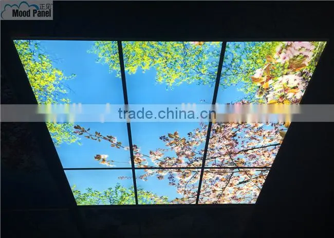 2015 Japanese style sakura sky ceiling panel