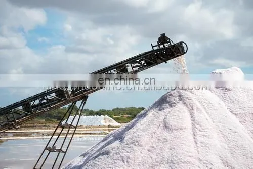 Economic and Efficient lake salt processing line