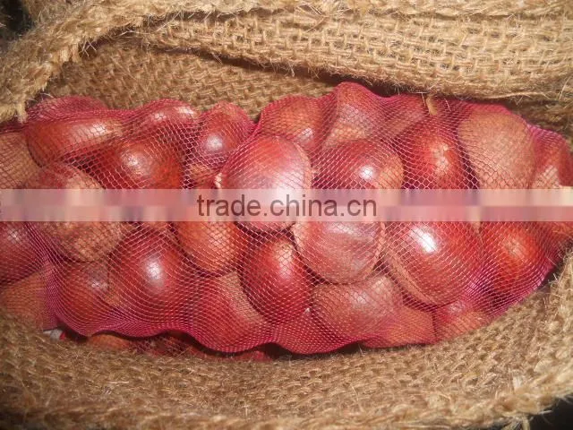 Fresh Style and Chestnut Type fresh Chestnut
