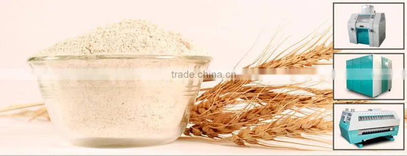 cassava flour processing machine