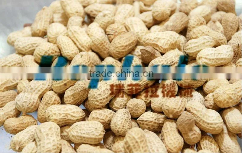 All kinds feeds Fry machine