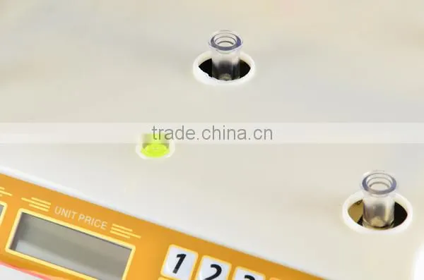 price of digital weighing scale