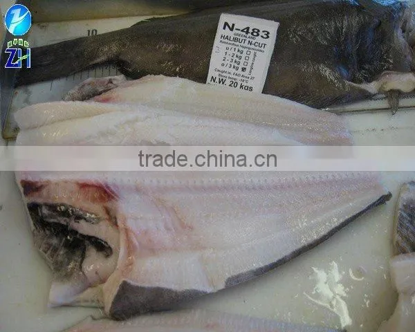 Frozen Greenland Halibut fillets
