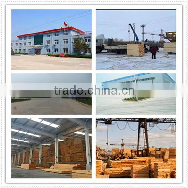 Poplar Plywood Manufacturer,poplar plywood 1mm,combi core plywood with Bintangor faces
