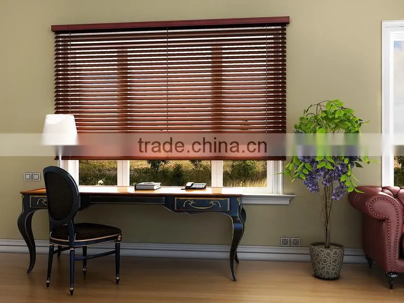 Bintronic Decorative Electric Multi-Color LED String Curtain Electric String Curtain