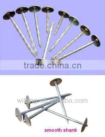 roofing nail