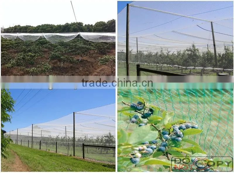 Canopy bird netting / 20101-45