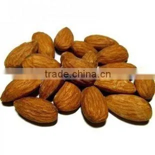 Organic sweet almond in bulk