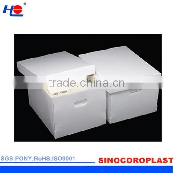 Packaging Plastic Corrugataed Box