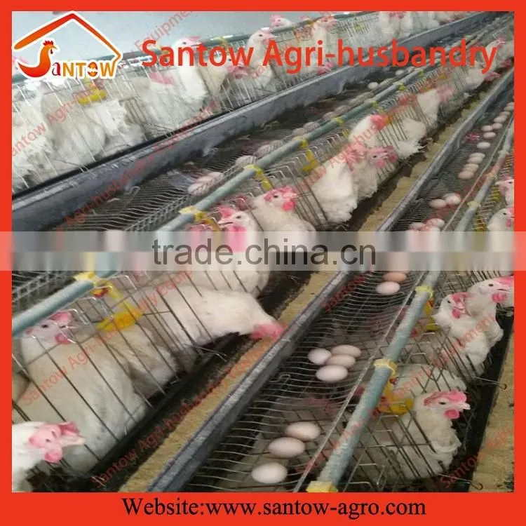 Automatic chicken egg layer cages poultry cage battery cage system for sale