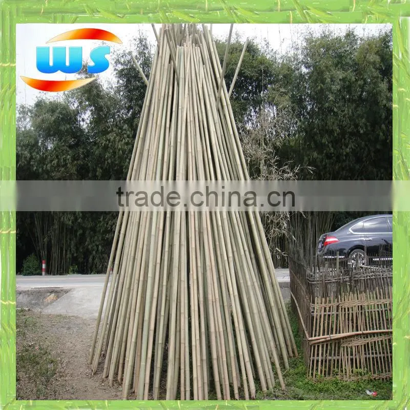 bamboo pole