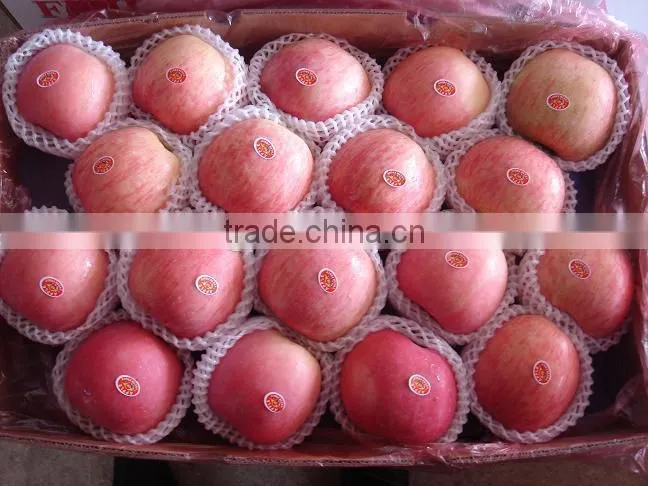 China 9kg-20kg carton fresh fuji apple