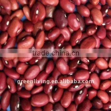 2011 red kidney beans(from china have good market)