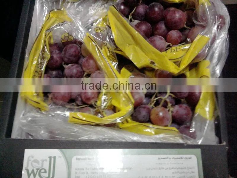 fresh crimson Grapes crops 2014