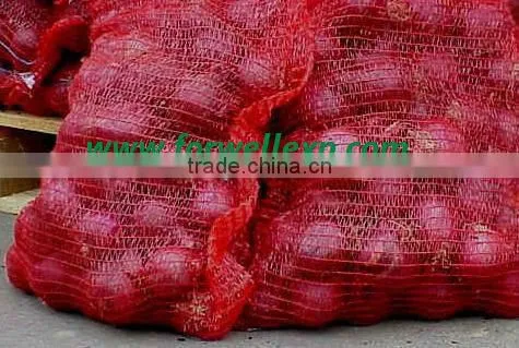 Liliaceous Vegetabless Product Type and Onion Type fresh ONION for sale