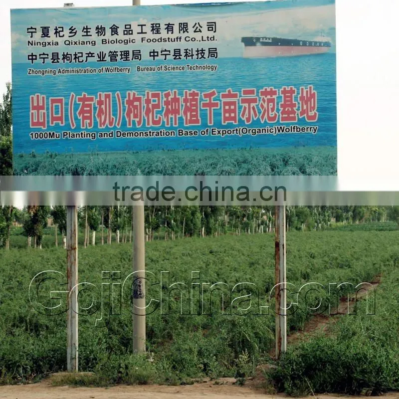 QIXIANG Fresh Goji berry Juice