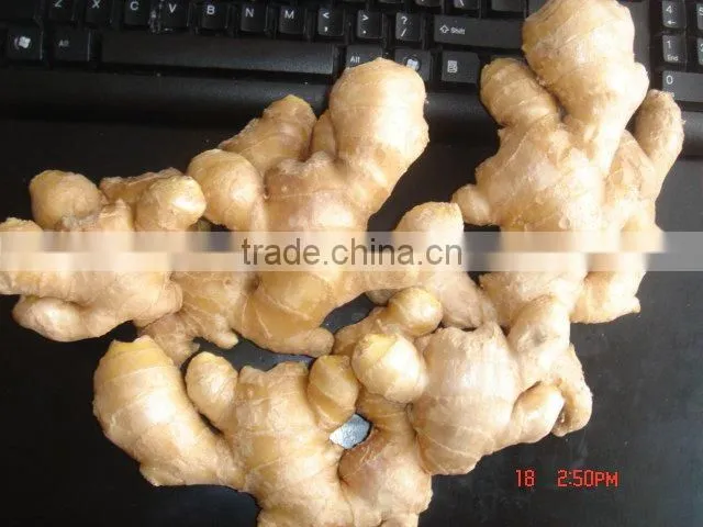 Fresh wet ginger