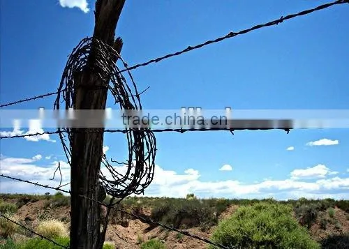 Motto Barbed Wire Fence Spools