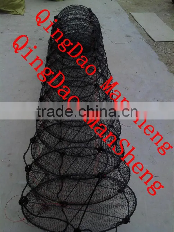 scallop lanterns scallop farming lanterns net