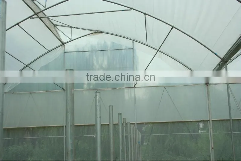 Plastic Film Greenhouse