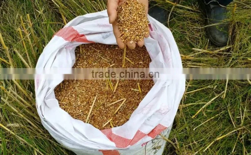 Mini grain harvester combine