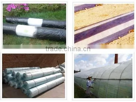 Two Colors Plastic Film Plant 8