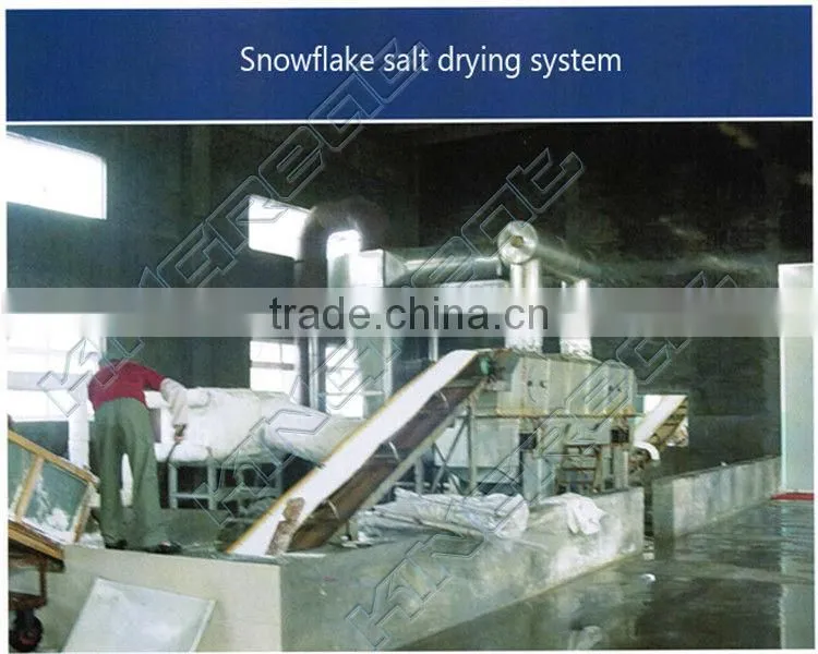 High Performance Stainless Steel Spiral Salt Washer