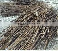 automatic screw iron nail machine