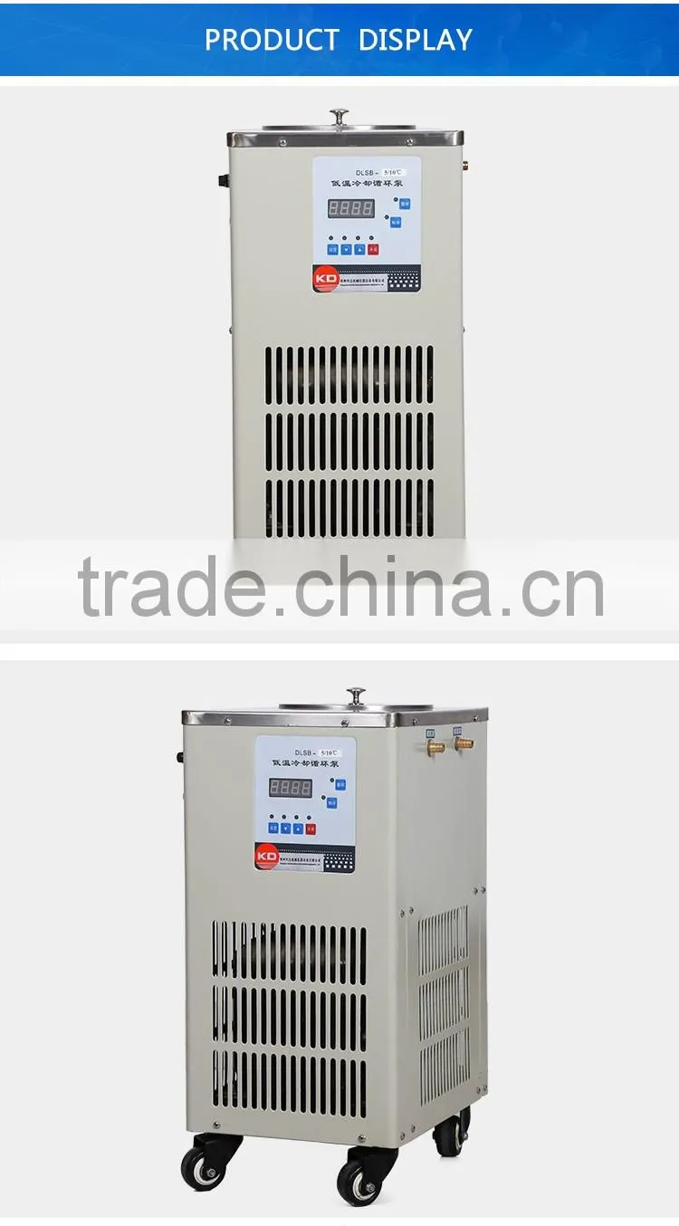 DLSB-30 Lab Low Temperature Cooling Liquid Circulating Pump