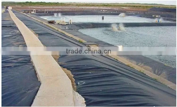 40mil shrimp pond liner geomembrane