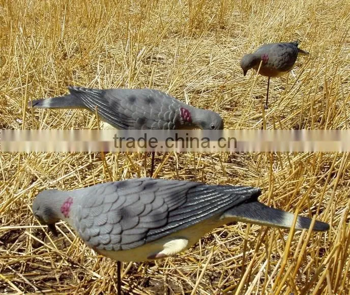 Feeding Dove dedoys