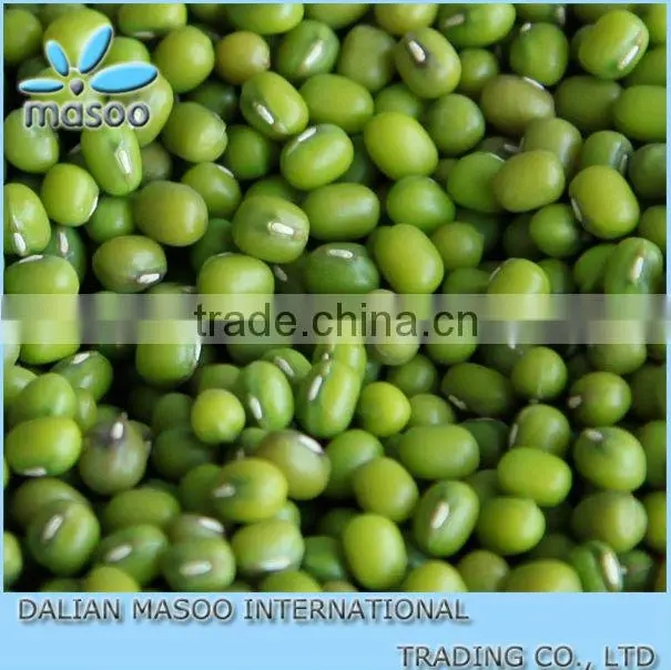 High qualtiy Green Mung Bean for sprouting,2012 crop