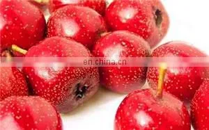 new type automatic multifunctional dates sorting machine