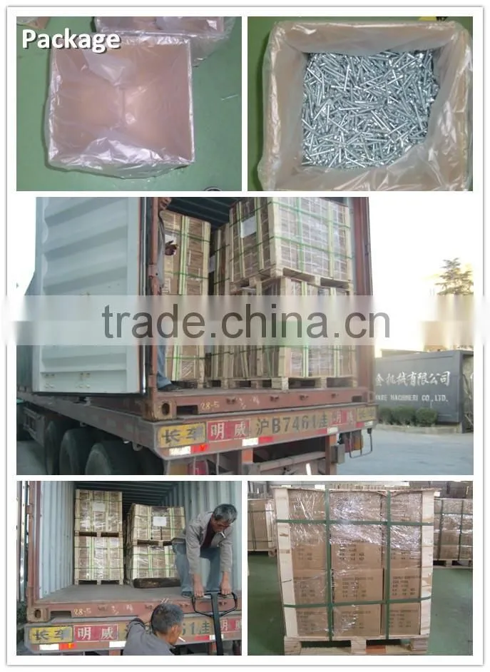 Roofing screws self drilling screws