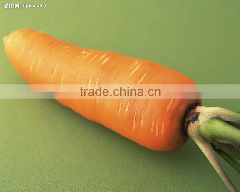 2014 Good Fresh Carrot
