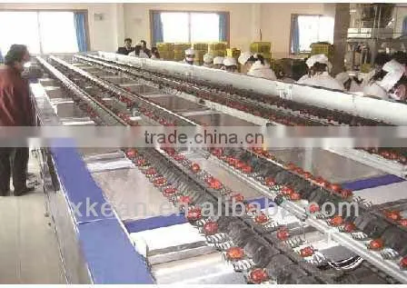 Hot sale high automatic fruit and vegetable cleaning line