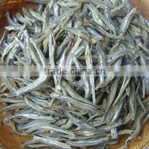 DRIED ANCHOVY FISH GOOD QUALITY - SPECIAL PRICE