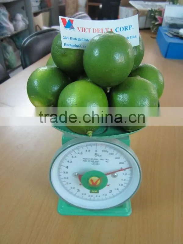 fresh green lemon & Lime (Seed and Seedless)