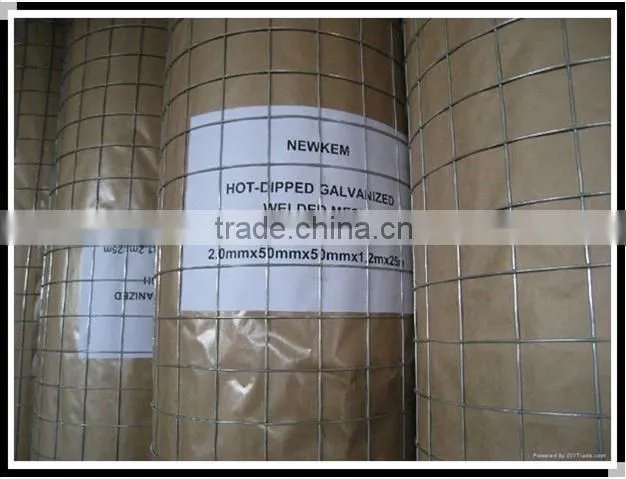 Holland Wire Mesh